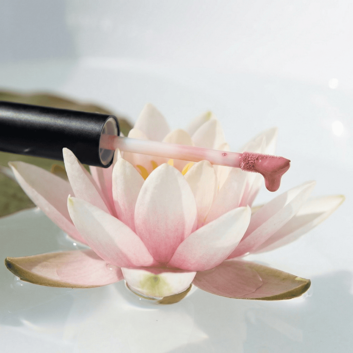 Mineral Lip Glazing Gloss