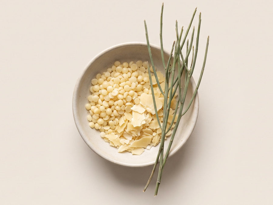 Candella Wax