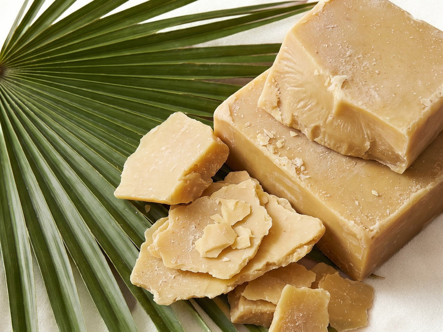 Carnauba Wax