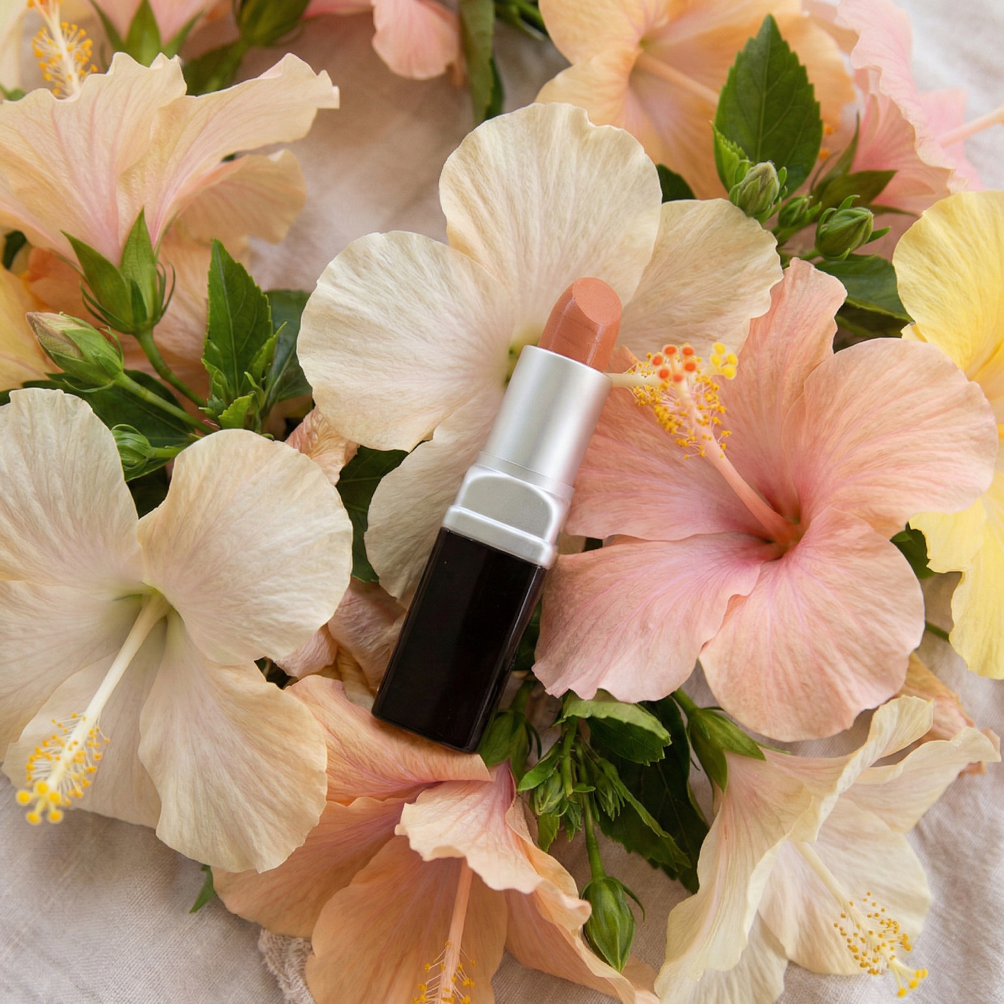 Mineral Lip Glazing Gloss