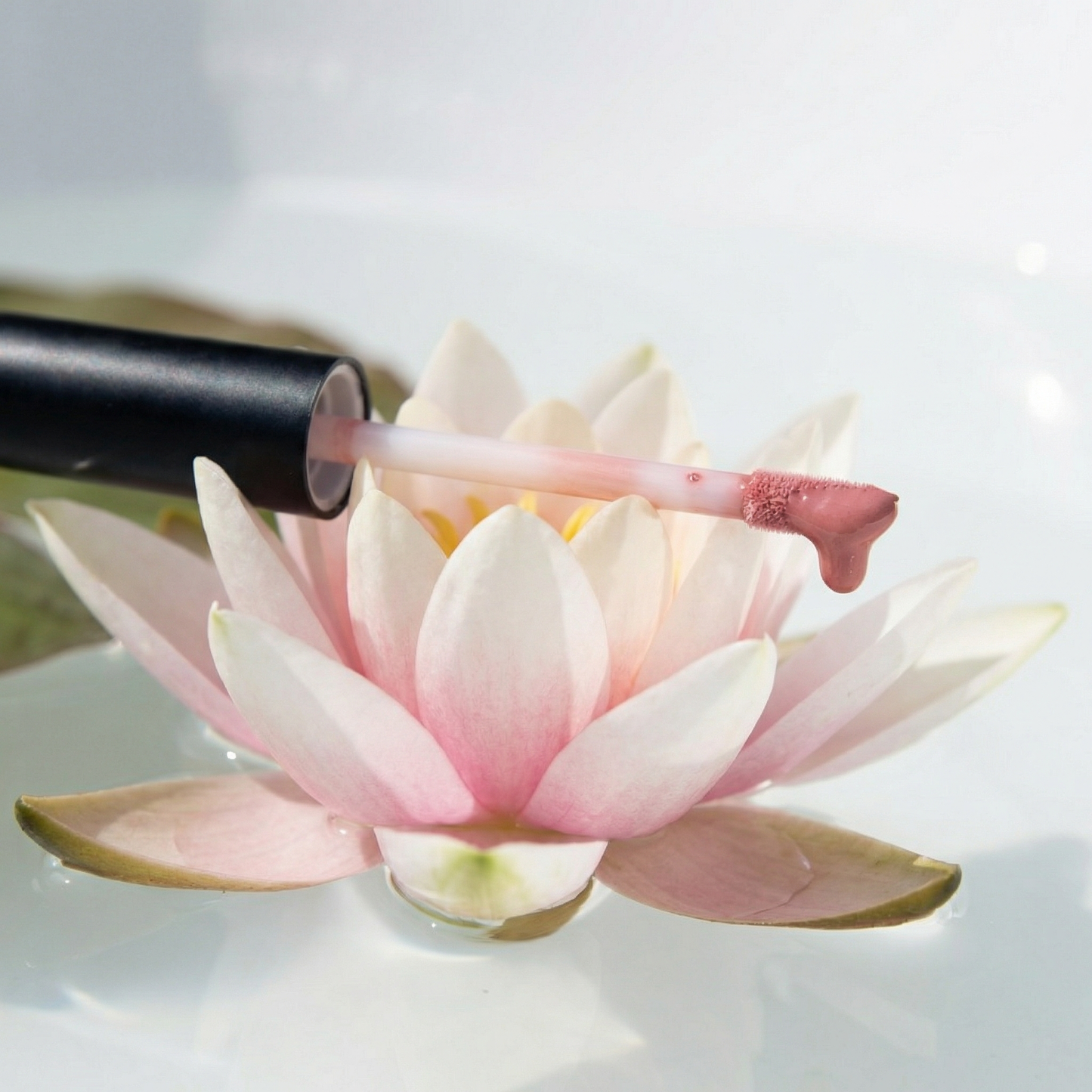 Mineral Lip Glazing Gloss